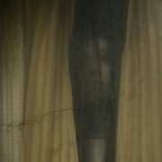 The Grudge 2 - galeria zdjęć - filmweb