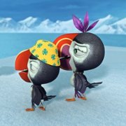 Puffins – La serie - galeria zdjęć - filmweb