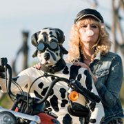 Preacher - galeria zdjęć - filmweb