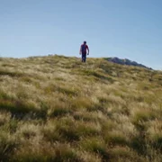 Carlo Acutis: Roadmap to Reality - galeria zdjęć - filmweb