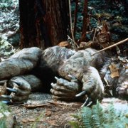The Ewok Adventure - galeria zdjęć - filmweb