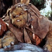 The Ewok Adventure - galeria zdjęć - filmweb