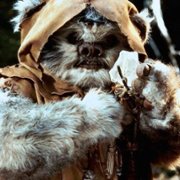 The Ewok Adventure - galeria zdjęć - filmweb