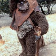 The Ewok Adventure - galeria zdjęć - filmweb