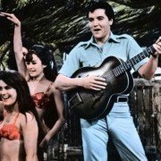 Podrap mnie w plecy - galeria zdjęć - filmweb