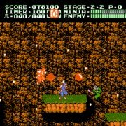 Ninja Ryuukenden II: Ankoku no Jashinken - galeria zdjęć - filmweb