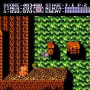 Ninja Ryuukenden II: Ankoku no Jashinken - galeria zdjęć - filmweb