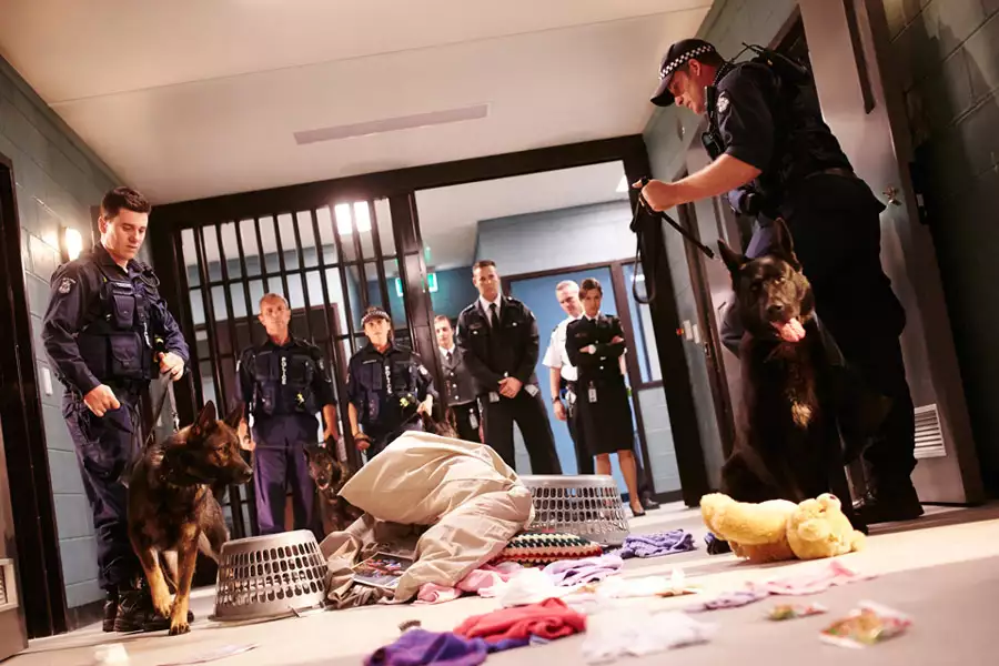 Wentworth. Więzienie dla kobiet - galeria zdjęć - filmweb