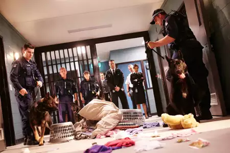 Wentworth. Więzienie dla kobiet - galeria zdjęć - filmweb