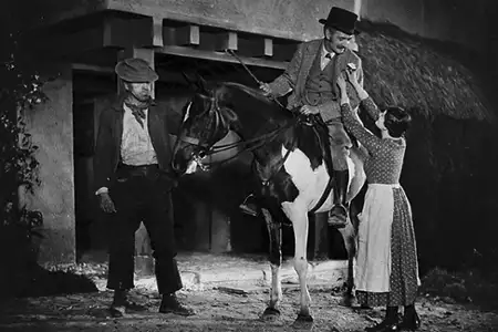 Żona farmera - galeria zdjęć - filmweb