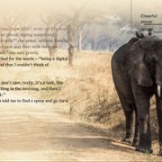 Wanderlust Travel Stories - galeria zdjęć - filmweb