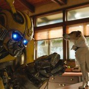 Bumblebee - galeria zdjęć - filmweb
