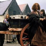 Pole - galeria zdjęć - filmweb