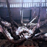 Necronomicon - galeria zdjęć - filmweb