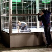 Tajemnice Smallville - galeria zdjęć - filmweb