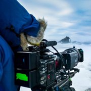Polar Bear - galeria zdjęć - filmweb