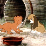 The Fox and the Hound - galeria zdjęć - filmweb