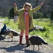 We Bought a Zoo - galeria zdjęć - filmweb
