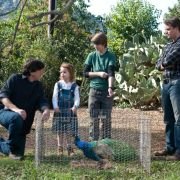 We Bought a Zoo - galeria zdjęć - filmweb