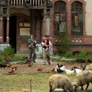 Mężczyźni i kurczaki - galeria zdjęć - filmweb