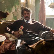 Mænd og høns - galeria zdjęć - filmweb