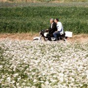 Bad ma ra khahad bord - galeria zdjęć - filmweb