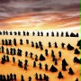 Hua pi - galeria zdjęć