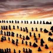 Hua pi - galeria zdjęć - filmweb