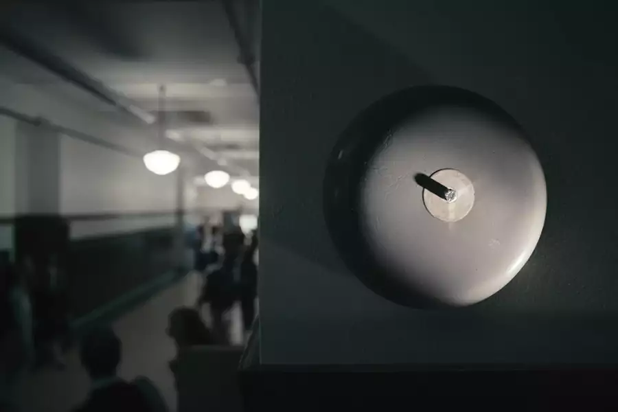American Vandal - galeria zdjęć - filmweb
