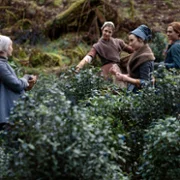 Outlander - galeria zdjęć - filmweb