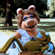 Muppety na tropie - galeria zdjęć - filmweb