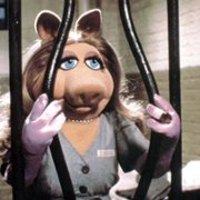 Muppety na tropie - galeria zdjęć - filmweb