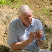 David Attenborough: Życie na naszej planecie - galeria zdjęć - filmweb