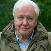 David Attenborough: Życie na naszej planecie - galeria zdjęć - filmweb