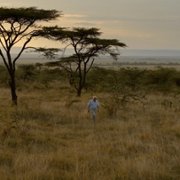 David Attenborough: Życie na naszej planecie - galeria zdjęć - filmweb