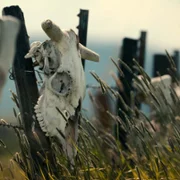 Unsolved Mysteries - galeria zdjęć - filmweb