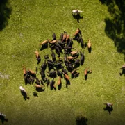 Unsolved Mysteries - galeria zdjęć - filmweb