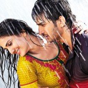 Shuddh Desi Romance - galeria zdjęć - filmweb