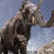 Walking with Beasts - galeria zdjęć - filmweb