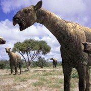 Walking with Beasts - galeria zdjęć - filmweb