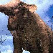Walking with Beasts - galeria zdjęć - filmweb
