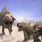 Walking with Beasts - galeria zdjęć - filmweb