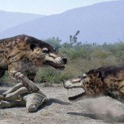 Walking with Beasts - galeria zdjęć - filmweb