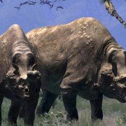 Walking with Beasts - galeria zdjęć - filmweb