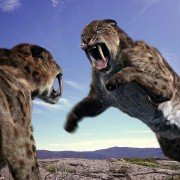 Walking with Beasts - galeria zdjęć - filmweb