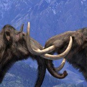 Walking with Beasts - galeria zdjęć - filmweb