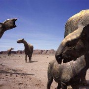 Walking with Beasts - galeria zdjęć - filmweb