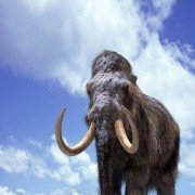 Walking with Beasts - galeria zdjęć - filmweb