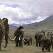 Walking with Beasts - galeria zdjęć - filmweb