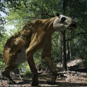 Walking with Beasts - galeria zdjęć - filmweb